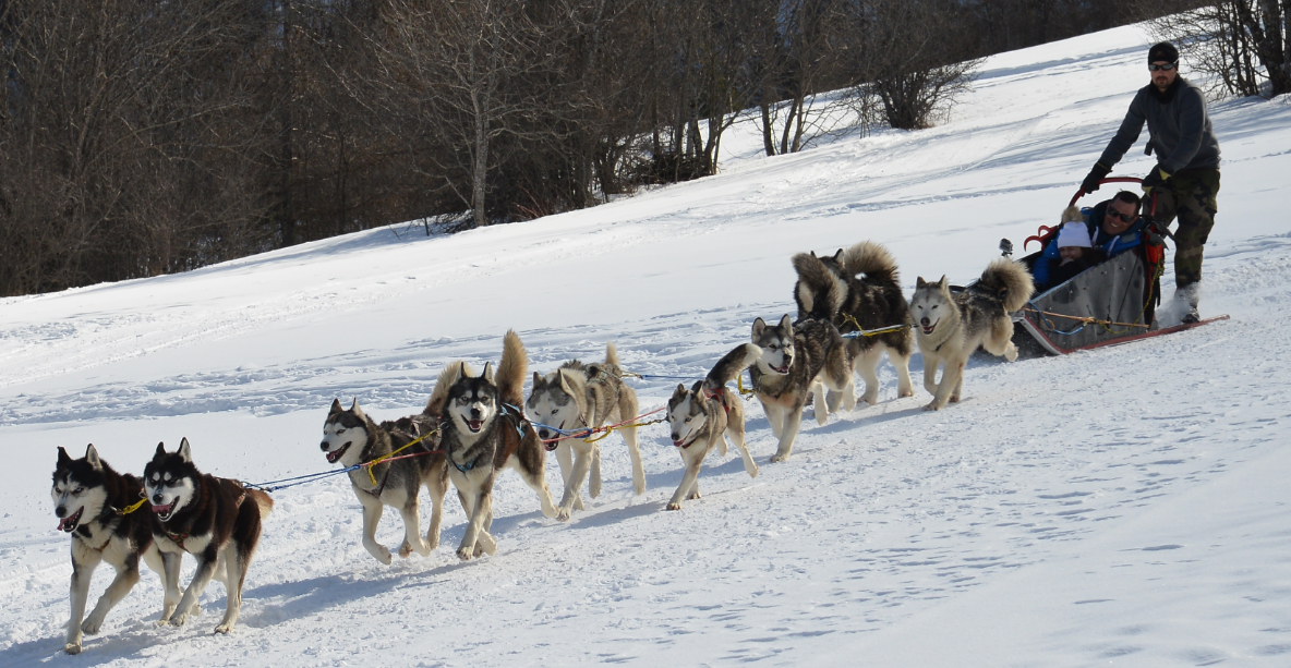 Baptême traineaujpg